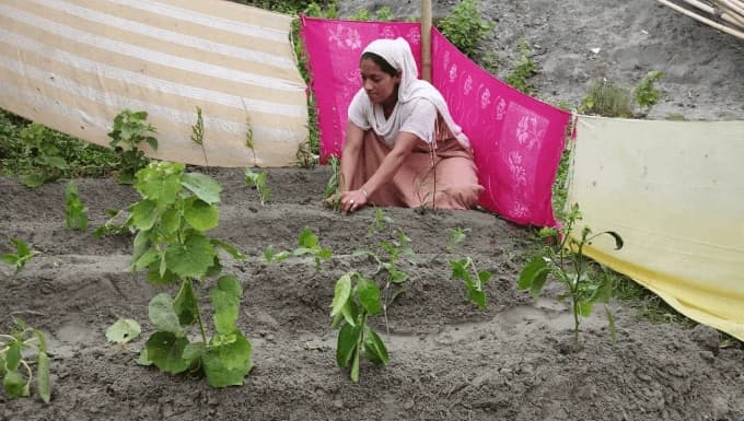 Community-led approach