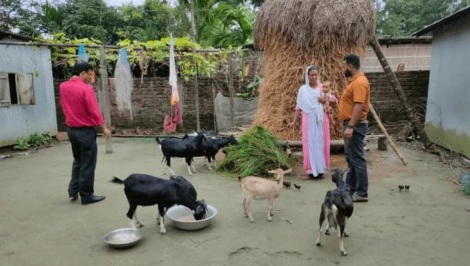 Aman livelihood initiative